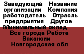 Заведующий › Название организации ­ Компания-работодатель › Отрасль предприятия ­ Другое › Минимальный оклад ­ 1 - Все города Работа » Вакансии   . Новгородская обл.